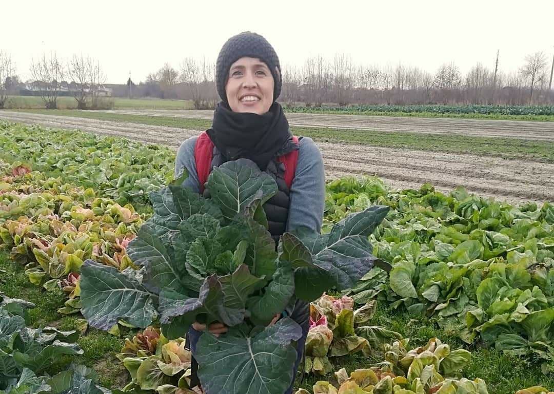 “Orto Biologico: Tecniche di coltivazione”: corso online dal 23 febbraio