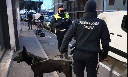 Se ne stava tranquillamente al bar del centro ma era un ricercato