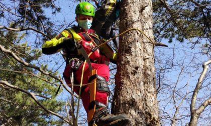 Il volo col parapendio finisce subito: 27enne precipita e resta incastrata tra gli alberi