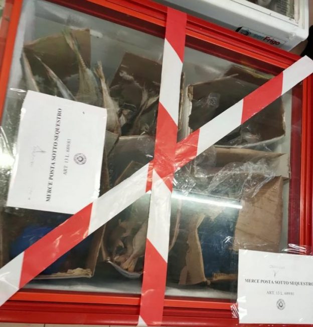 Carne e pesce avariati, frutta marcia e cibo scaduto: 6mila euro di multa a un negozio di Treviso