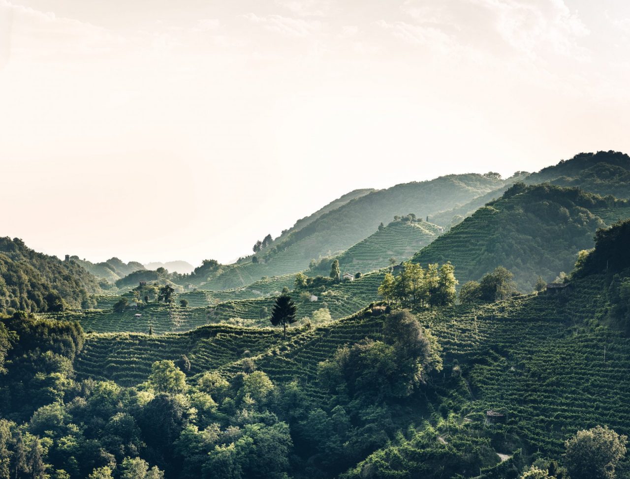 Concorso di idee per dare un volto e un nome al nuovo cammino delle Colline Unesco
