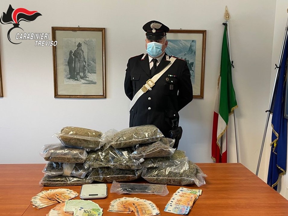 Giovani insospettabili, ma erano i “boss” dello spaccio di marijuana nel Solighese