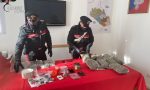 Il "bazar" della droga era a San Vendemiano: sorpreso con oltre 5 chili di "maria"