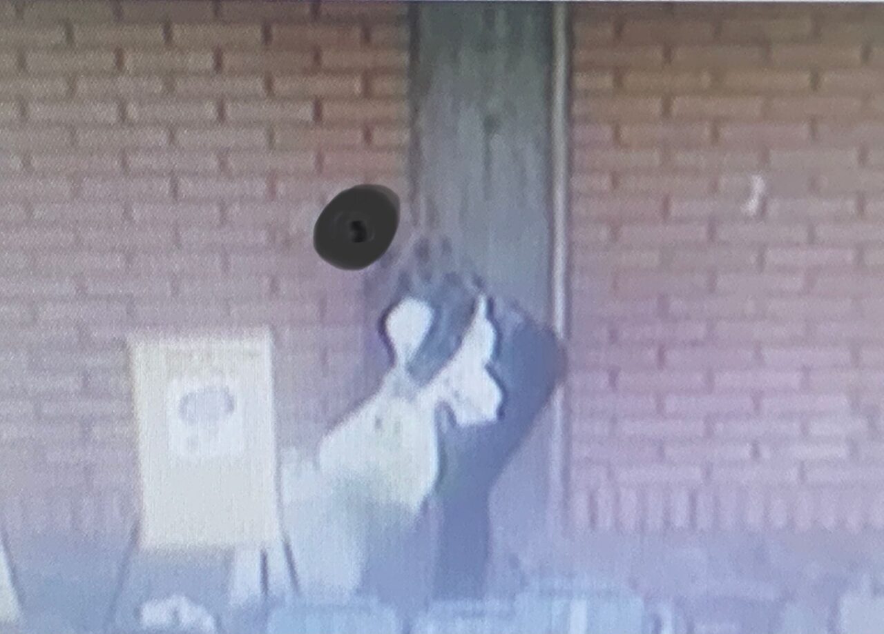 Abbandona rifiuti (una pelliccia) e pensa di farla franca, ma viene ripresa dalle telecamere