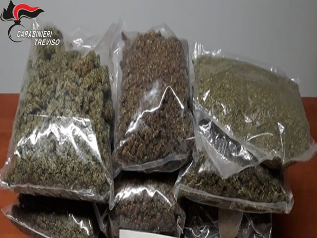 Giovani insospettabili, ma erano i "boss" dello spaccio di marijuana nel Solighese