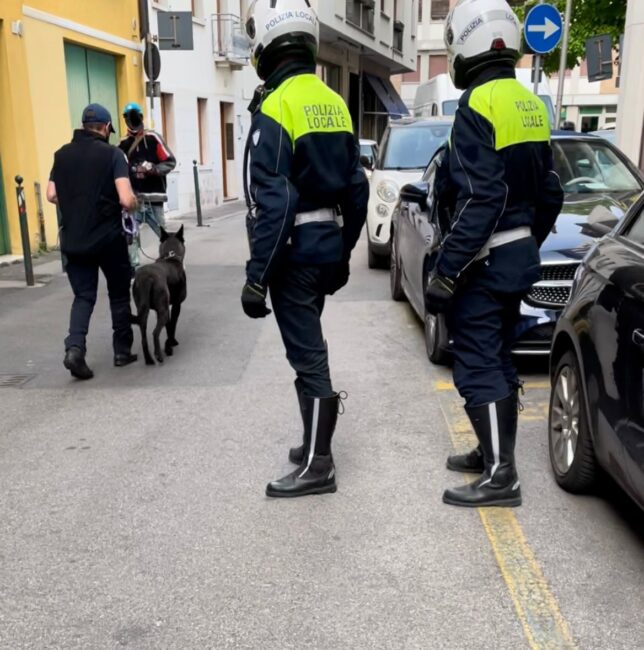 Controlli antidroga, il cane Luke setaccia via Roma e vicolo Orioli