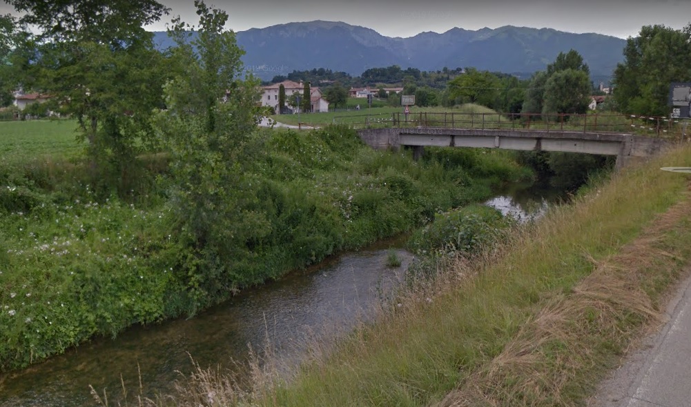 Il torrente Muson e la sua ricca biodiversità. Incontro online su ambiente e territorio