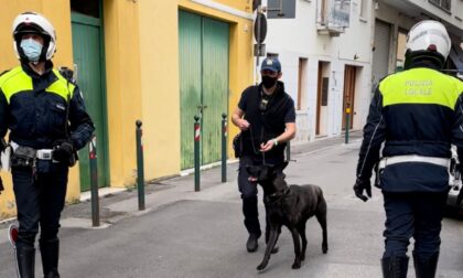 Controlli antidroga, il cane Luke setaccia via Roma e vicolo Orioli