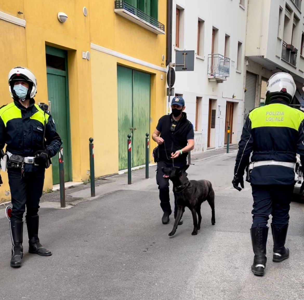 Controlli antidroga, il cane Luke setaccia via Roma e vicolo Orioli