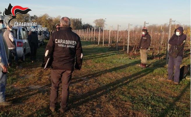 Sfruttati come schiavi nei campi dai connazionali aguzzini: due arresti