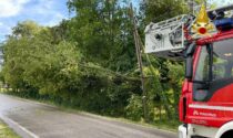 Albero precipita sui fili dell'Enel: paura a San Biagio di Callalta