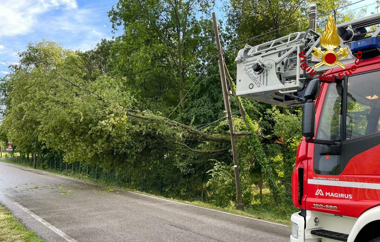 Albero precipita sui fili dell’Enel: paura a San Biagio di Callalta