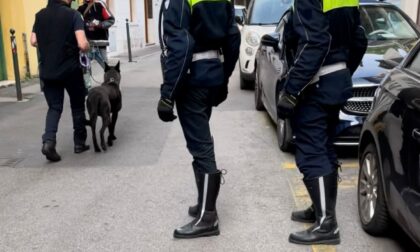 Gira senza mascherina, aggredisce un agente, fugge e viene arrestato