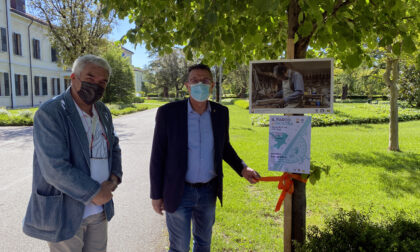 Esposizione fotografica al Sant'Artemio, il "Parco si Mostra"