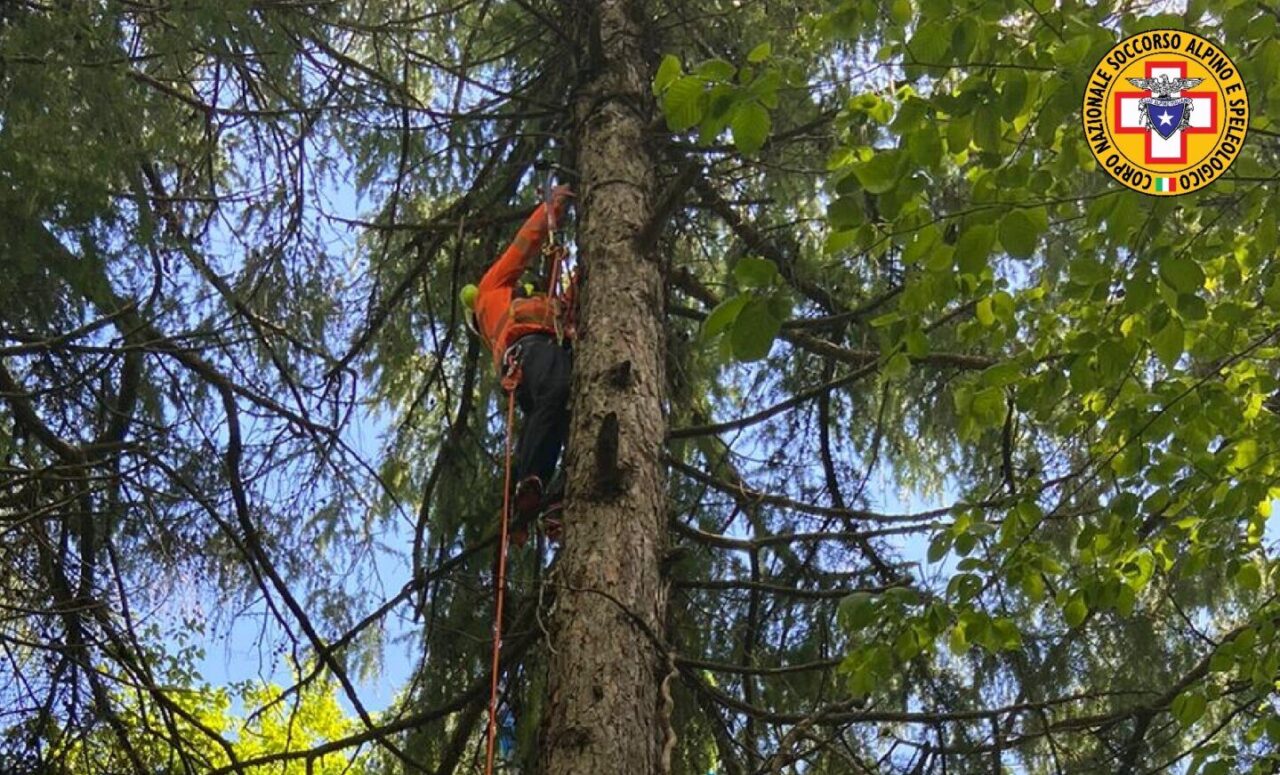 Precipita col parapendio e chiama i soccorsi dall’albero: salvato