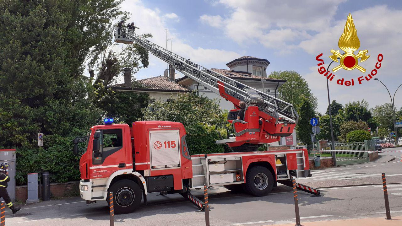 Il pioppo di 18 metri si “appoggia” sulla casa: rimosso dai Vigili del fuoco