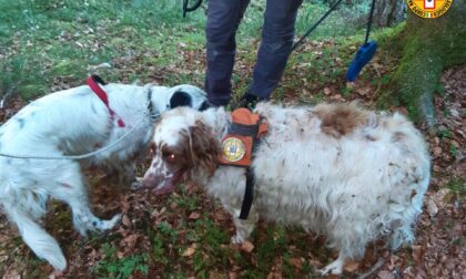 Recuperati Scott e Teo, i due cani di un trevigiano finiti in una forra