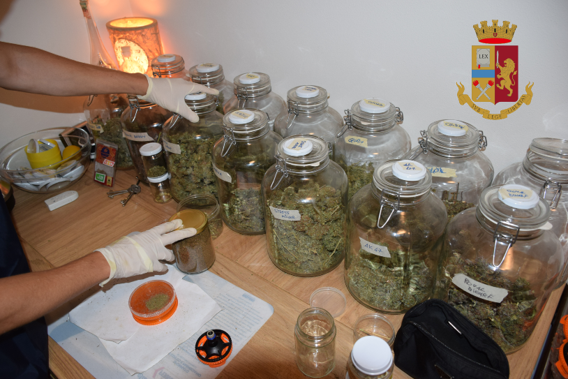 Il dietologo trevigiano col “vizietto” della marijuana: il video dell’insospettabile coltivazione indoor