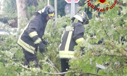 Forti raffiche di vento, danni e disagi anche nella Marca trevigiana