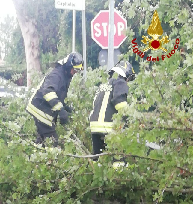 Forti raffiche di vento, danni e disagi anche nella Marca trevigiana