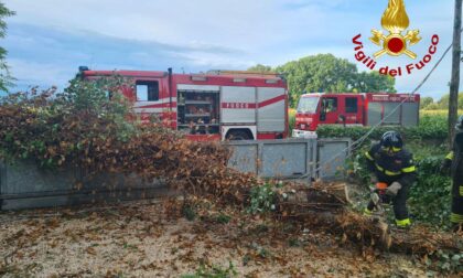 Il maltempo lascia una lunga scia di danni nel trevigiano