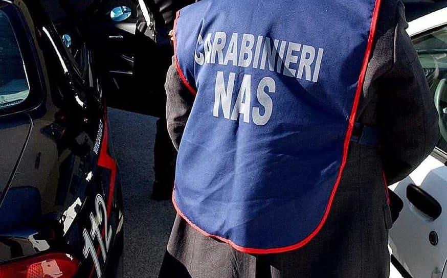 L’asilo è irregolare, arrivano i carabinieri del Nas: bimbi riportati a casa dai genitori