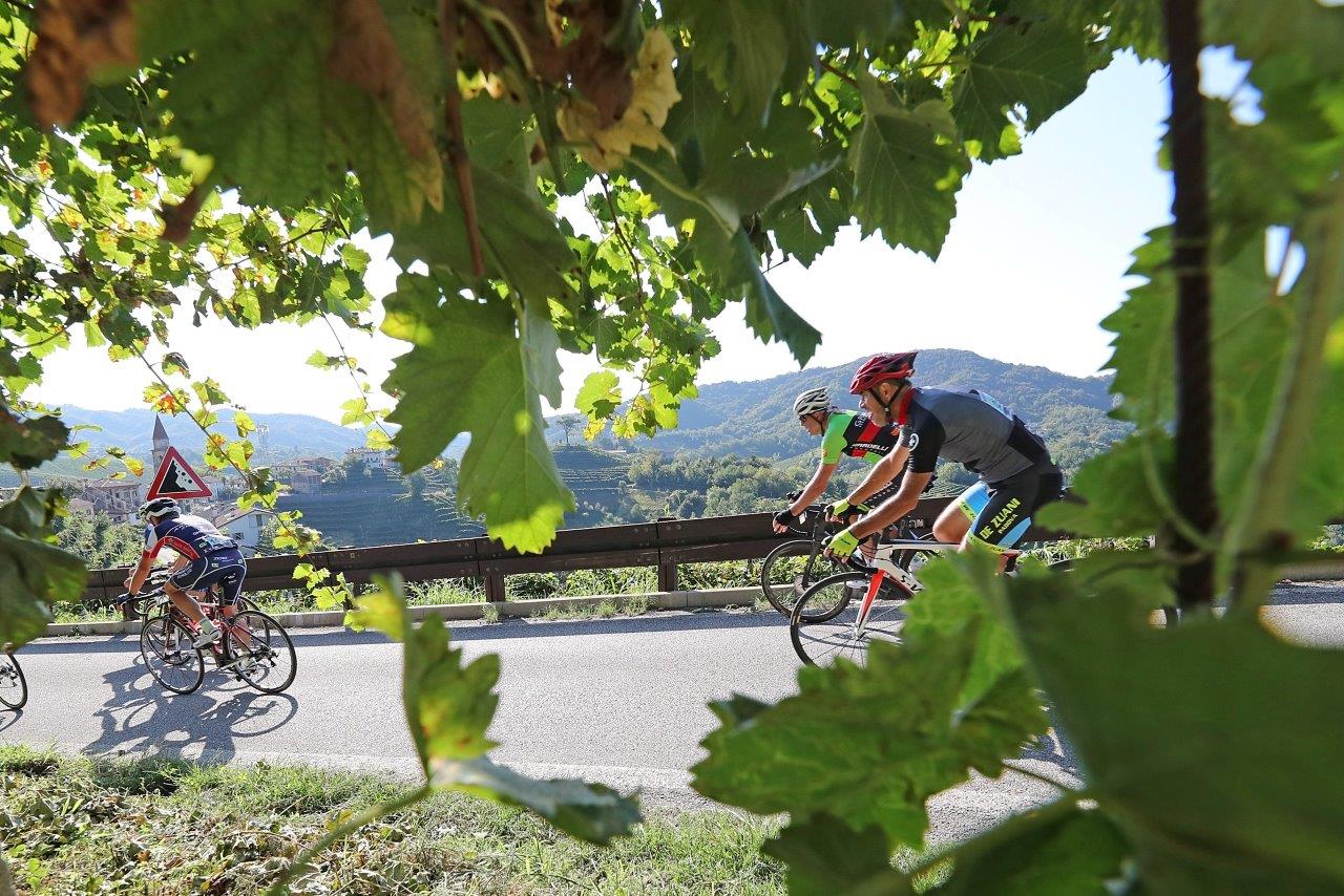 Prosecco Cycling_Passaggio tra i vigneti