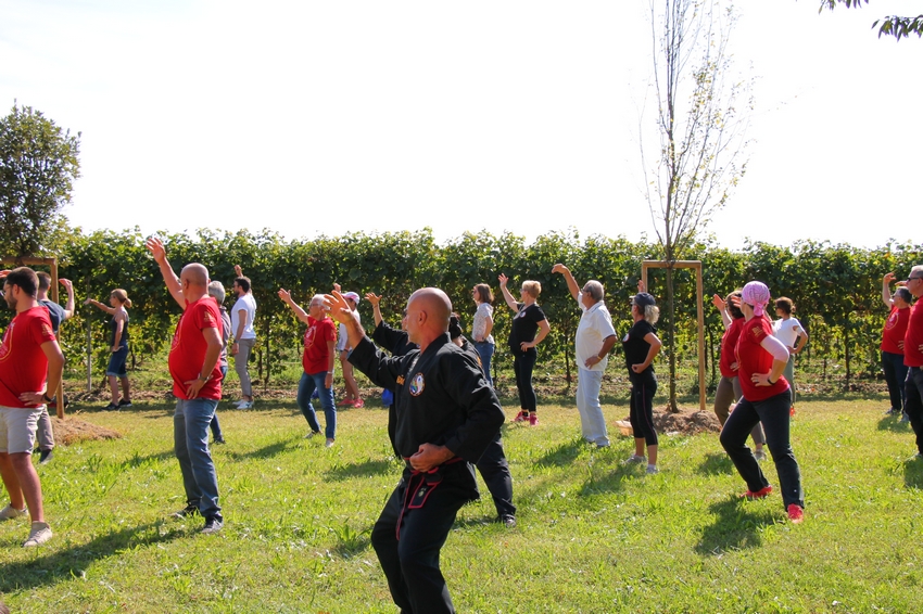 Vendemmia_Viet Tai Chi 2019_2_lr