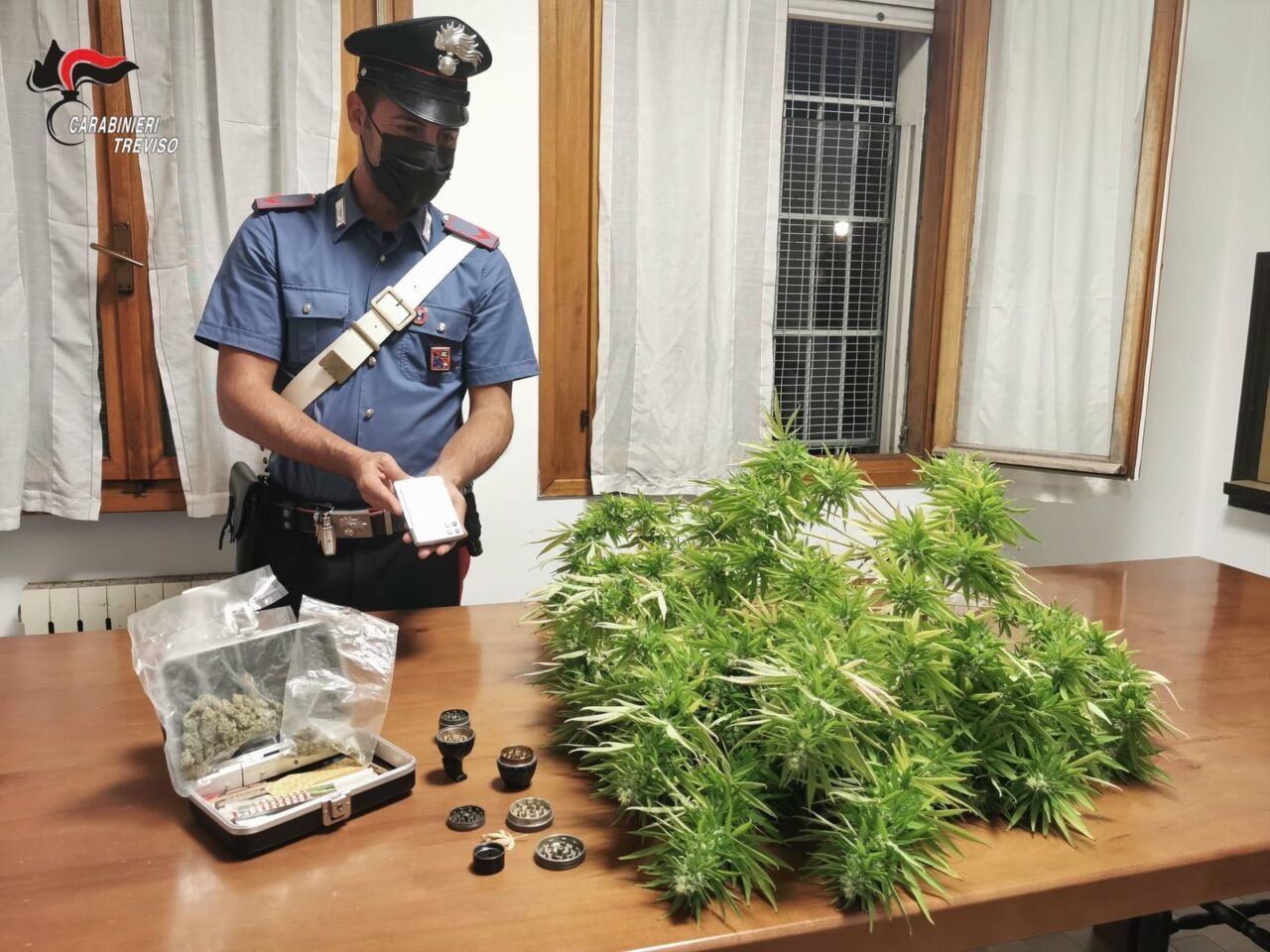 L’estorsione (tentata), lo spaccio “in codice” e il coltivatore di Istrana
