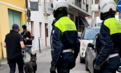 Arrestato pusher nel quartiere San Zeno