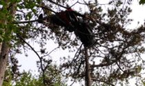 Il volo del parapendio finisce tra gli alberi: pilota resta sospesa a dieci metri d'altezza