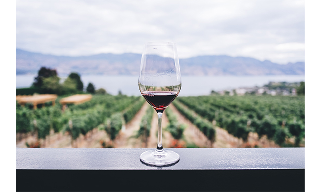 Destinazione vino: alla scoperta della Valpolicella e dei suoi eventi