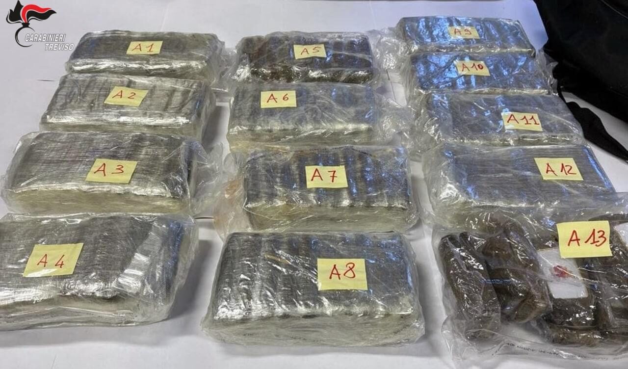 I fratelli con la serra artigianale in casa e quei 16 kg di hashish abbandonati nel bosco