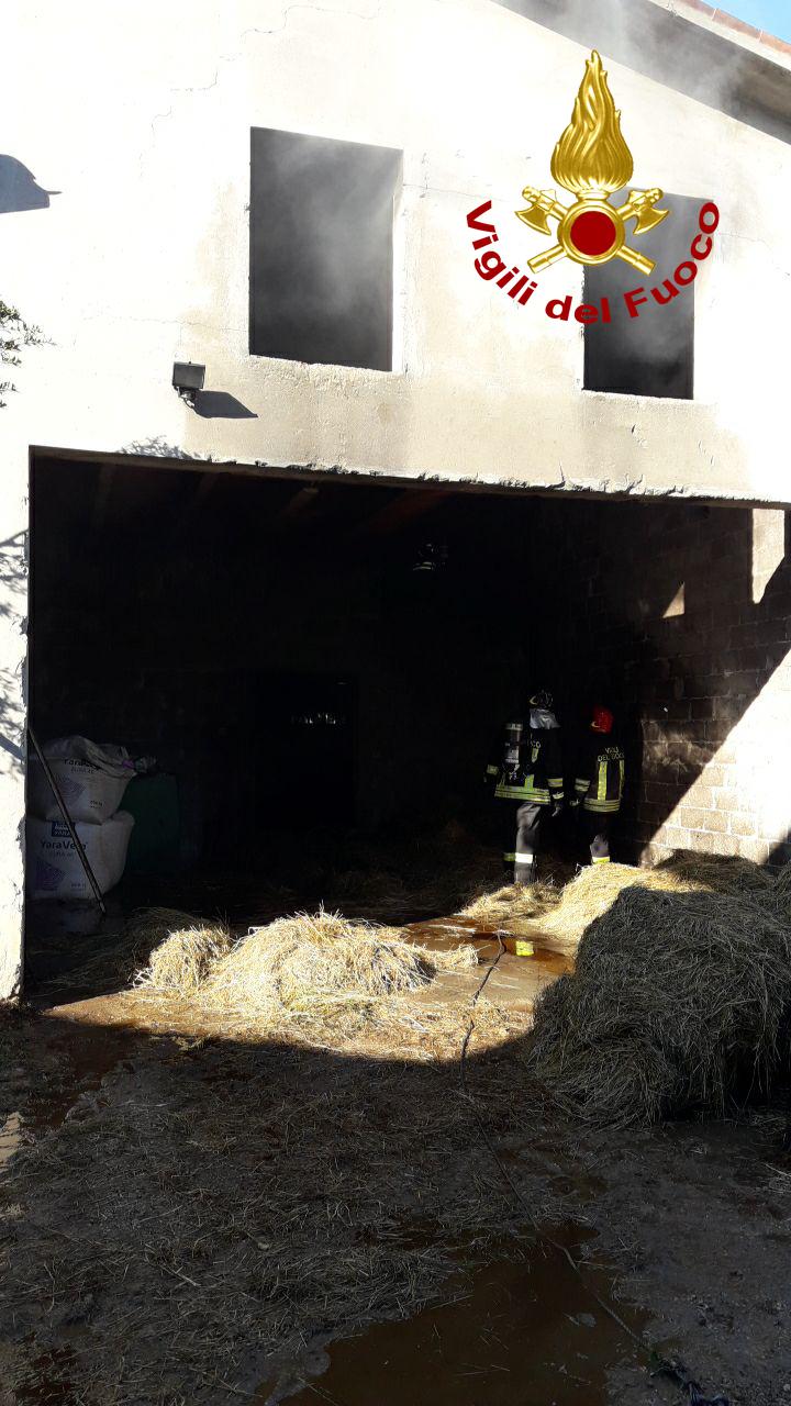 Incendio in una stalla a Loria di Castelfranco, ci sono animali feriti