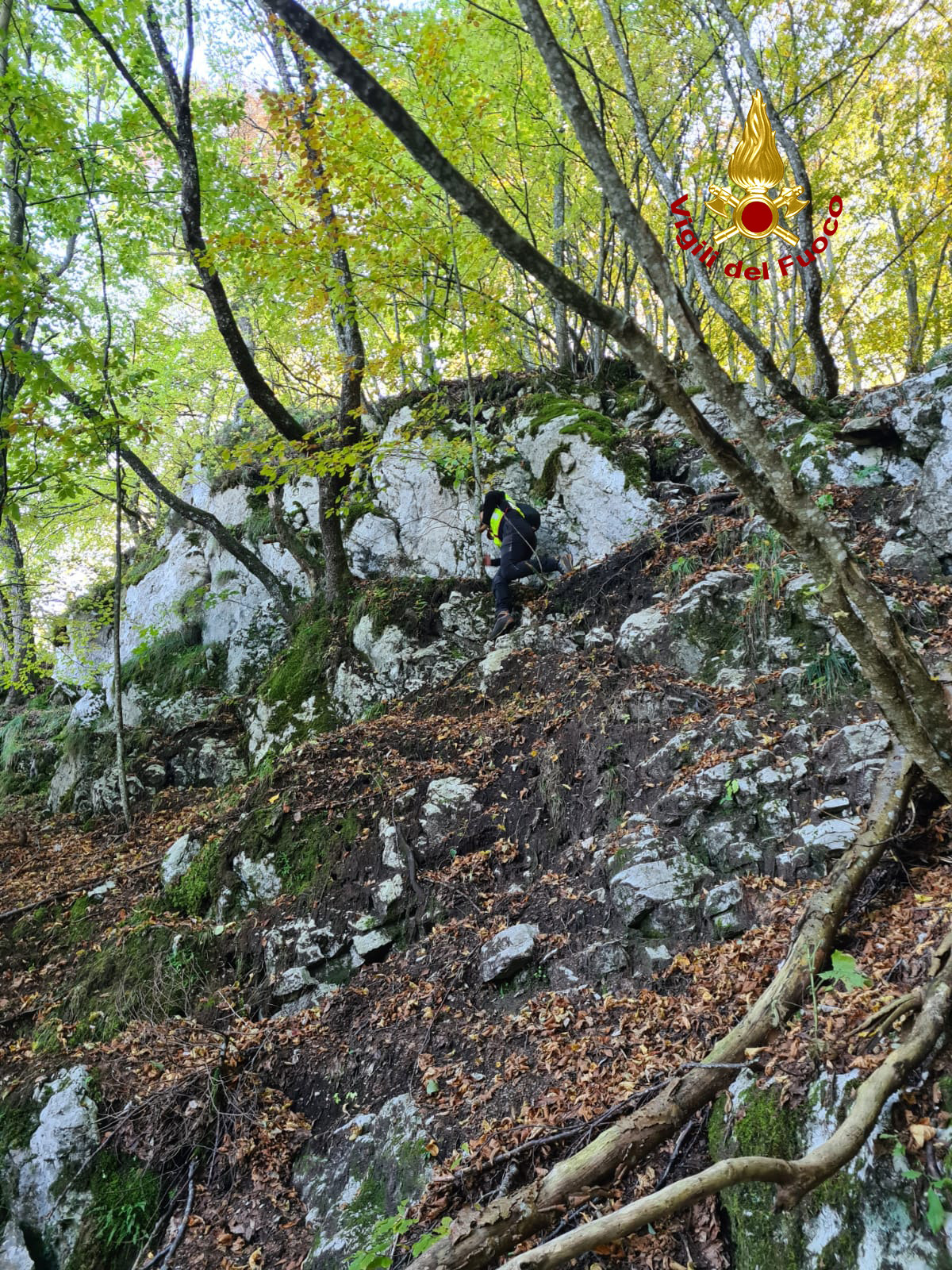 Trovato morto il 50enne trevigiano scomparso dopo essere andato a funghi