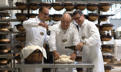 Pasticceria Fraccaro Castelfranco: ecco "L'Incontro", il panettone che celebra il valore delle relazioni umane