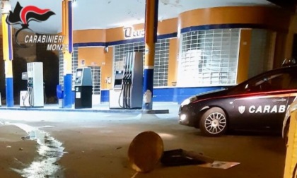 Ubriaco distrugge un'aiuola: i carabinieri lo beccano seguendo la scia d'olio come Pollicino