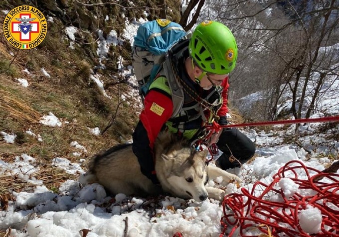 E’ stato ritrovato Pascal! Recuperato sano e salvo il cane sparito nel canale
