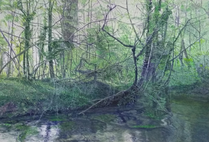 Fabio Basso e la sua “poesia del paesaggio” in mostra a Castelfranco