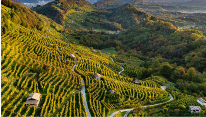 Turismo sulle Colline Unesco, il (buon) report 2021 : “Diminuiti gli stranieri”