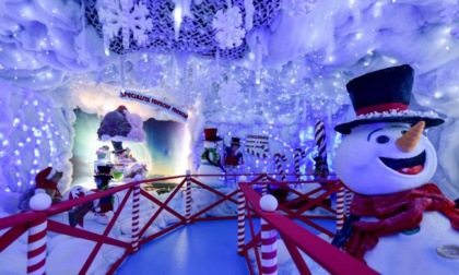 Al “Paese del Natale” 2025, ammessi anche i cani: se piccoli in braccio, se grandi con pannolone