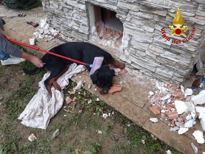 Roncade, dal foro in un muro i pompieri estraggono un Rottweiler