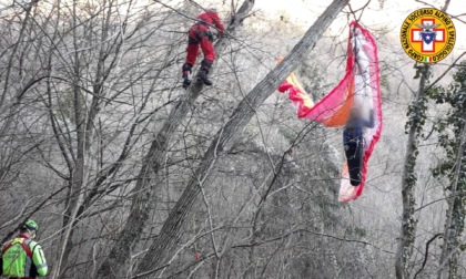 Precipita con il parapendio e resta sospeso su...piante secche