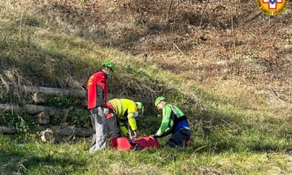 Taglia una pianta ma ha un incidente e vola per cinque metri in una scarpata