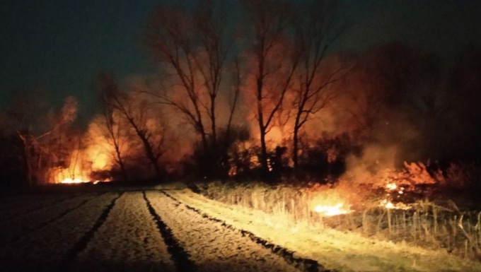 Drammatica notte di fuoco: in fiamme il Bosco dei Fontanassi