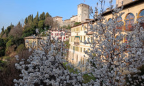 Cosa fare a Treviso e provincia nel weekend: gli eventi di sabato 19 e domenica 20 marzo 2022