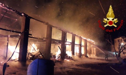 Valdobbiadene, video e foto dell’incendio che ha distrutto un deposito legna e attrezzi agricoli