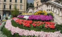 Cosa fare a Treviso e provincia nel weekend: gli eventi di sabato 9 e domenica 10 aprile 2022