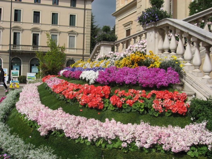Cosa fare a Treviso e provincia nel weekend: gli eventi di sabato 9 e domenica 10 aprile 2022