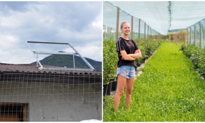 Furto nel terreno di un'imprenditrice 25enne: Savno ripagherà due pannelli fotovoltaici rubati